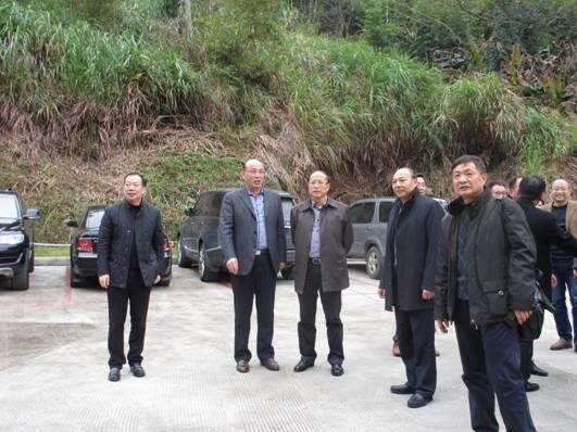 1451526904805527.jpg 1.jpg