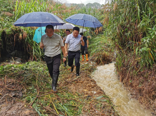 1655276978849012.png image.png